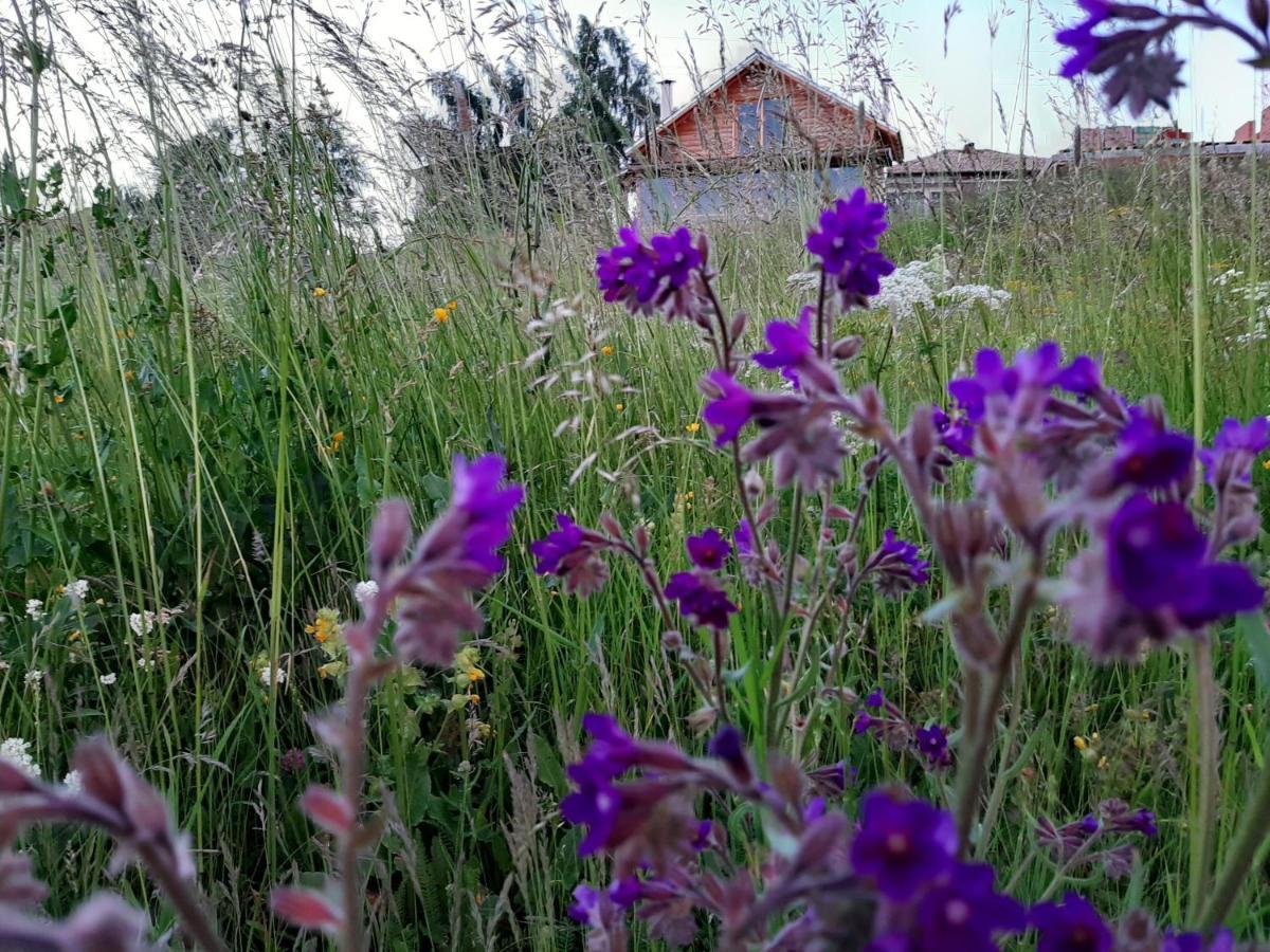 Вила Орцево Vila Ortsevo Luaran gambar