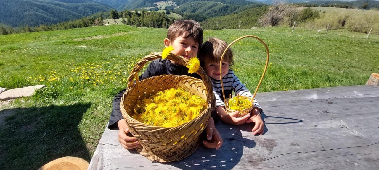 Вила Орцево Vila Ortsevo Luaran gambar