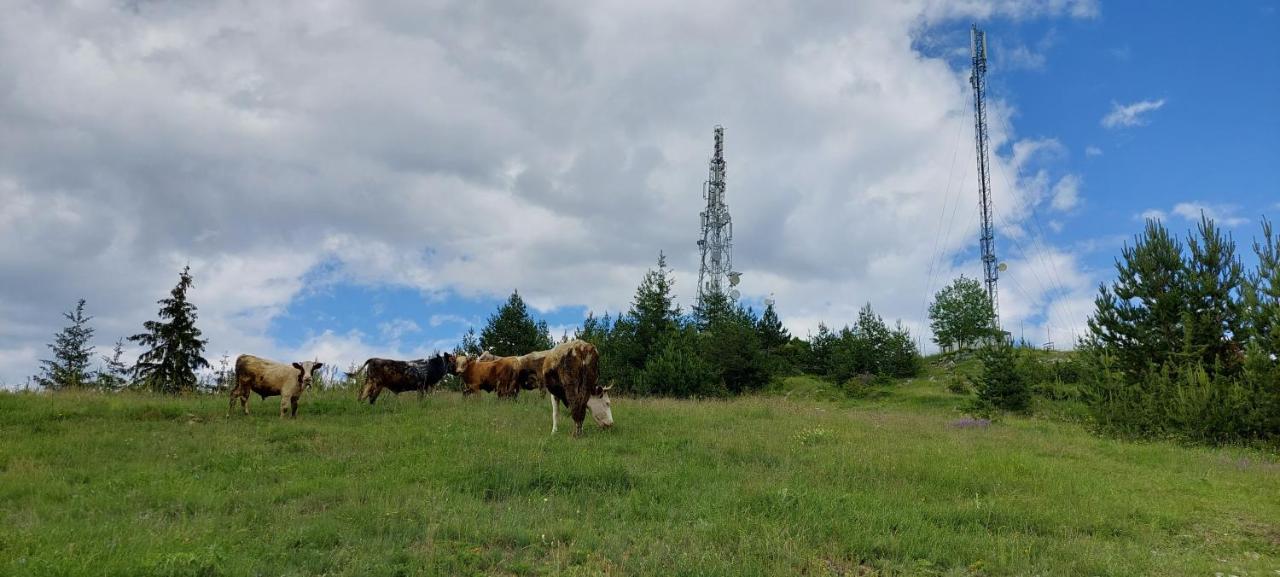 Вила Орцево Vila Ortsevo Luaran gambar
